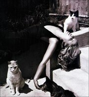 Келіңіздер, кискаға қарсы ысқылап көрейік?