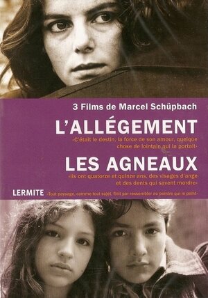 Постер: (Ягнята, 1996 - вся информация о фильме на FilmNavi.ru