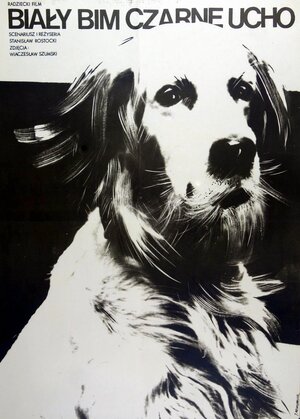 Постер: (Белый Бим Черное ухо, 1976 - вся информация о фильме на FilmNavi.ru