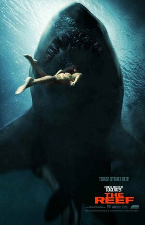 Постер: (Открытое море: Новые жертвы, 2010 - вся информация о фильме на FilmNavi.ru