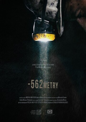  (2019)