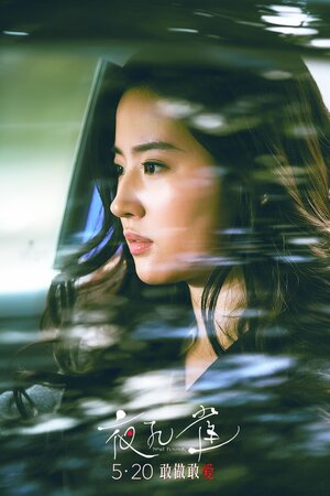 Постер: (Ночной павлин, 2015 - вся информация о фильме на FilmNavi.ru