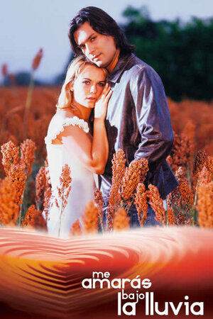 Постер: (Ты будешь любить меня под дождем, 2004 - вся информация о сериале на FilmNavi.ru