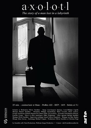 Постер: (Аксолотль, 2018 - вся информация о фильме на FilmNavi.ru