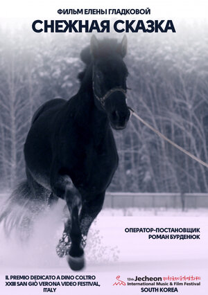 Постер: (Снежная сказка, 2018 - вся информация о фильме на FilmNavi.ru