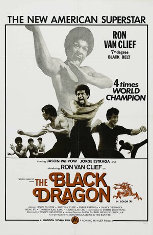 Постер: (Xia nan yang, 1974 - вся информация о фильме на FilmNavi.ru