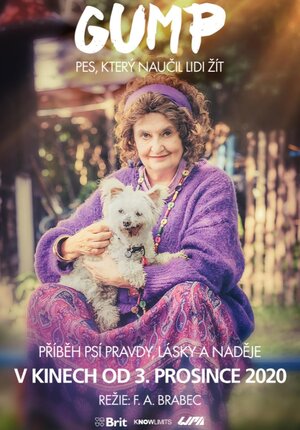 Постер: (Невероятные приключения Гампи, 2021 - вся информация о фильме на FilmNavi.ru