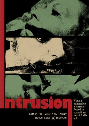 Постер: (The Intrusion, 1975 - вся информация о фильме на FilmNavi.ru