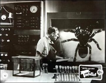 Кадр из фильма