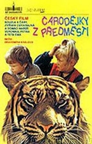 Постер: (Чародейки из предместья, 1991 - вся информация о фильме на FilmNavi.ru