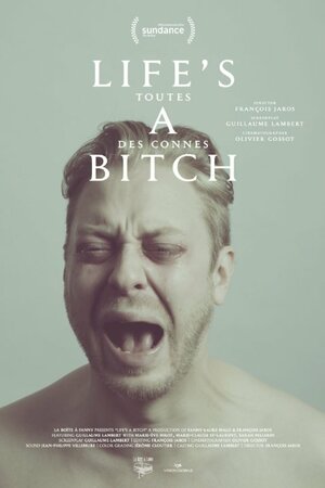 Постер: (Дуры все, 2014 - вся информация о фильме на FilmNavi.ru