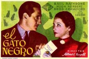 Постер: (Чёрный кот, 1941 - вся информация о фильме на FilmNavi.ru