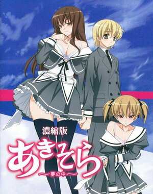 Постер: (Аки и Сора 2, 2010 - вся информация о мультфильме на FilmNavi.ru