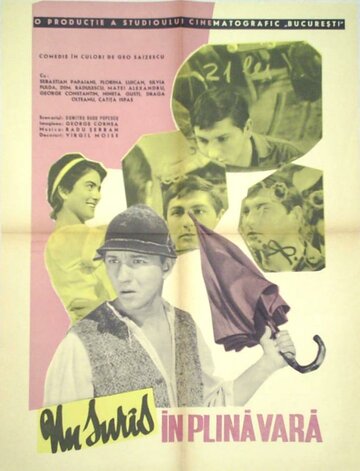 Улыбка в разгаре лета (1964)