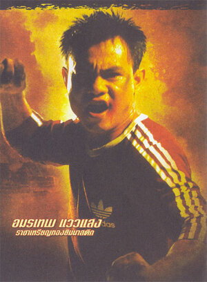 Постер: (Рожденный сражаться, 2004 - вся информация о фильме на FilmNavi.ru