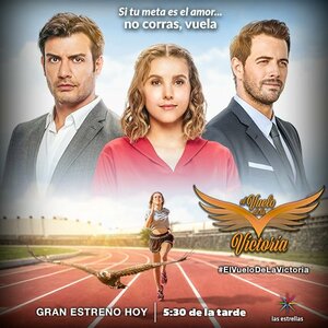 Постер: (Полёт Виктории, 2017 - вся информация о сериале на FilmNavi.ru