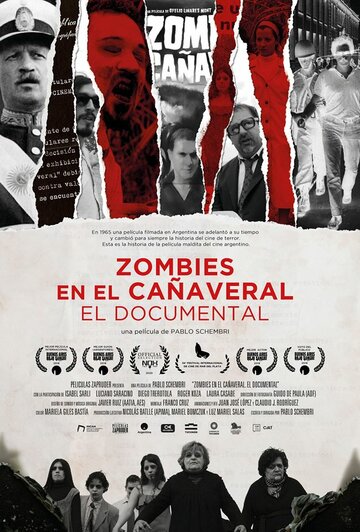  (2019)