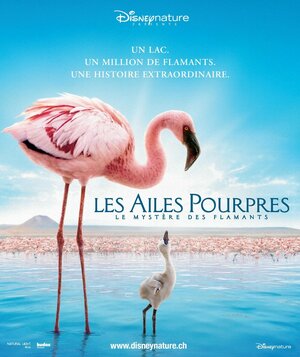 Постер: (Пурпурное крыло, 2008 - вся информация о фильме на FilmNavi.ru