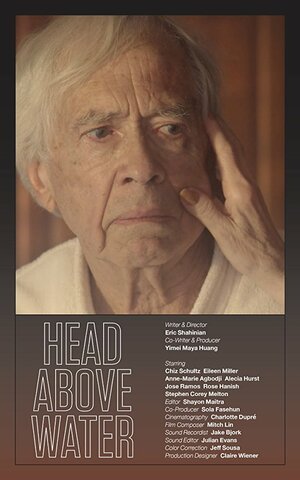 Постер: (Преодолевая трудности, 2017 - вся информация о фильме на FilmNavi.ru