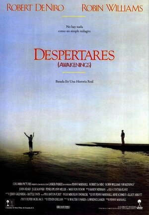 Постер: (Пробуждение, 1990 - вся информация о фильме на FilmNavi.ru