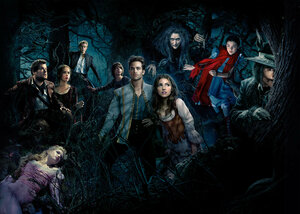 Постер: (Чем дальше в лес..., 2014 - вся информация о фильме на FilmNavi.ru