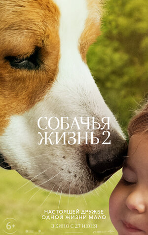 Постер: (Собачья жизнь 2, 2019 - вся информация о фильме на FilmNavi.ru