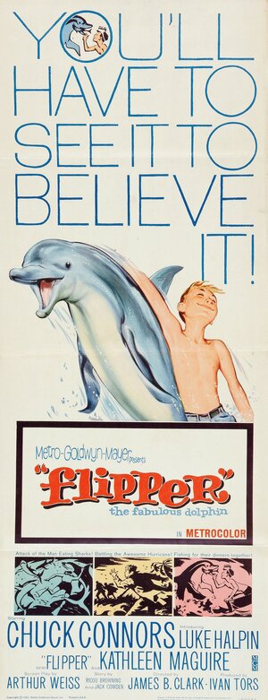 Постер: (Флиппер, 1963 - вся информация о фильме на FilmNavi.ru