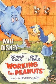 Постер: (Работа за орехи, 1953 - вся информация о мультфильме на FilmNavi.ru