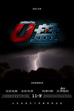 Постер: (Флешка, 2014 - вся информация о фильме на FilmNavi.ru