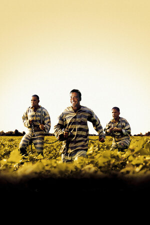 Постер: (О, где же ты, брат?, 2000 - вся информация о фильме на FilmNavi.ru