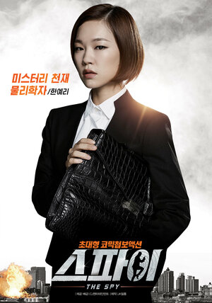 Постер: (Шпион: Операция под прикрытием, 2013 - вся информация о фильме на FilmNavi.ru