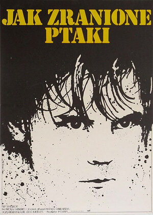 Постер: (Подранки, 1976 - вся информация о фильме на FilmNavi.ru