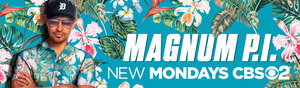 Постер: (Частный детектив Магнум, 2018 - вся информация о сериале на FilmNavi.ru