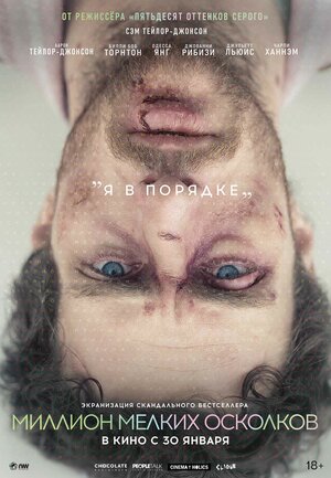 Постер: (Миллион мелких осколков, 2018 - вся информация о фильме на FilmNavi.ru