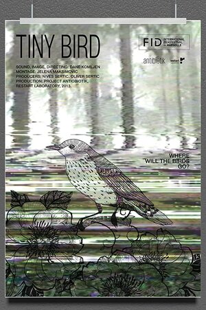 Постер: (Tiny Bird, 2013 - вся информация о фильме на FilmNavi.ru