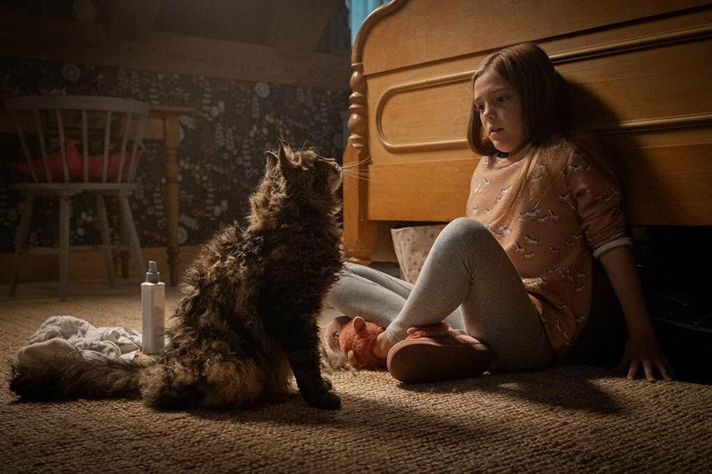 Фото: Кладбище домашних животных / Кадр из фильма «Кладбище домашних ...
