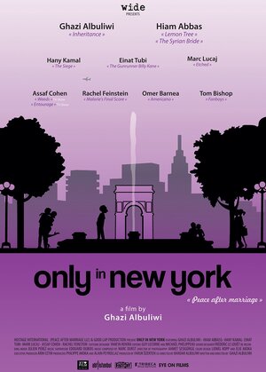 Постер: (Peace After Marriage, 2013 - вся информация о фильме на FilmNavi.ru