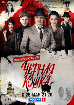 Постер: (Черная кошка, 2016 - вся информация о сериале на FilmNavi.ru