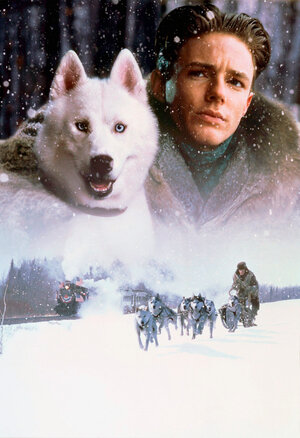 Постер: (Железная воля, 1993 - вся информация о фильме на FilmNavi.ru