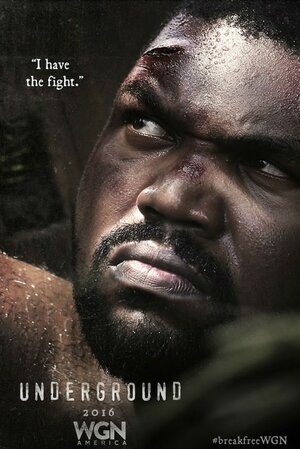 Постер: (Подземка, 2016 - вся информация о сериале на FilmNavi.ru