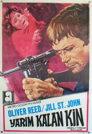 Постер: (Сидячая цель, 1972 - вся информация о фильме на FilmNavi.ru