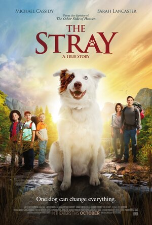 Постер: (The Stray, 2017 - вся информация о фильме на FilmNavi.ru