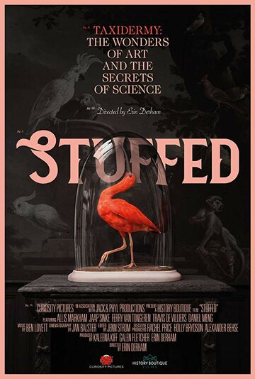  (2019)