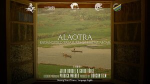 Постер: (Alaotra: Endangered Treasures of Madagascar, 2017 - вся информация о фильме на FilmNavi.ru