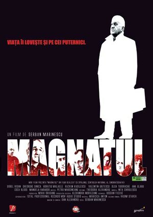 Постер: (Magnatul, 2004 - вся информация о фильме на FilmNavi.ru