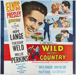 Постер: (Одиночка, 1961 - вся информация о фильме на FilmNavi.ru