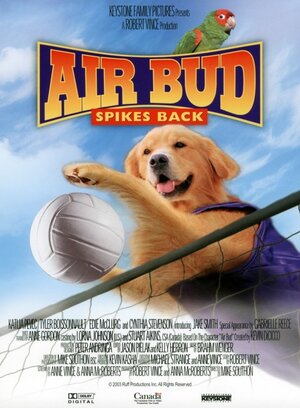 Постер: (Король воздуха: Возвращение, 2003 - вся информация о фильме на FilmNavi.ru