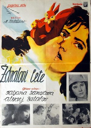 Постер: (Летят журавли, 1957 - вся информация о фильме на FilmNavi.ru