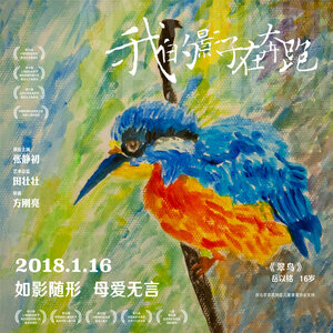 Постер: (Моя бегущая тень, 2013 - вся информация о фильме на FilmNavi.ru