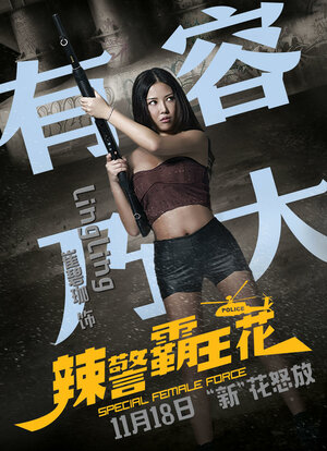 Постер: (Специальный женский отряд, 2016 - вся информация о фильме на FilmNavi.ru